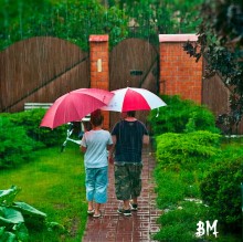 they rain no obstacle ... / ***