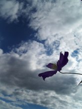 puzzle in the clouds ... / ***