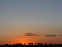 This is not Africa! / ***