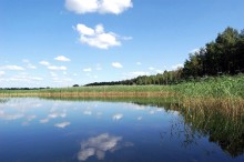 The Summer / strusto lake