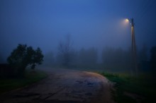 Road. Tree. Lantern. / ***