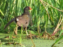 And I\'m still looking / ---------------