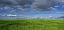 Horizon / .........