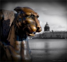 PRO "GRIFOSHU Petersburg" ... / ***