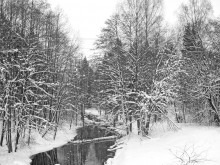 Winter river / ***