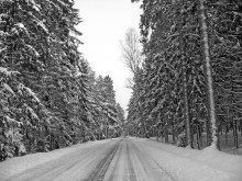 Winter road / ***