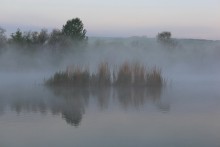 Fog Island / ***