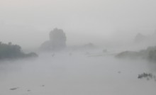 In the fog / ***
