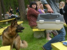 Oh, THEY ARE ... A pretty) / ---)))