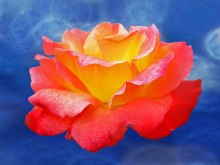 Queen of Inspiration / ***