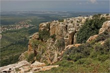 North Israel / ***