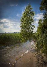 On the edge ... / ***