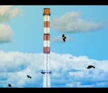 fly / ***