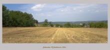 After harvest / ***