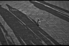 In the shadow of bezchuvstvennoy / ***