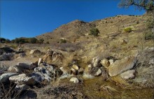stream, the Lemmon / Mount Lemmon, Arizona