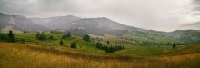Cloudy summers in the Carpathians / ***