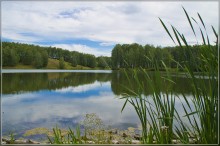 On the shore of the pond / ***