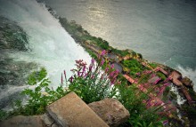 So painful to cut themselves on the rocks, but down fly crushed water ... / ***