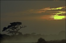 Sunset in Africa / ***