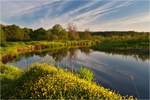 In the early summer / ***