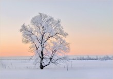 The cold breath of winter / ---- ----- ------