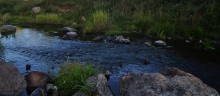 Much water has flowed under the bridge since then ... / ***