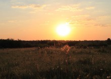 Early / ______________________*