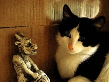 There is no happiness in the world ... / ***