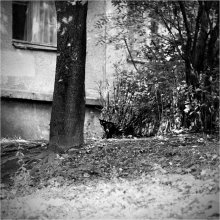 Black&Wite / *****