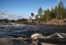 Karelian creek / ***