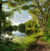 The old pond ... / ***