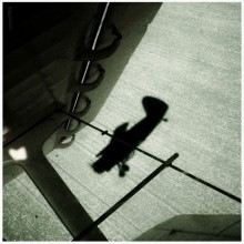 Earth - the sky / .........