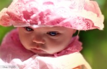 photo № 5 / photo №5