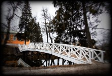 Pushkin bridge / ***********