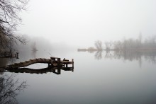 That dissolved in the silence of the fog? .. / . . .
