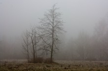 of mists and ravens / .....