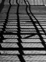 Shadows / .....