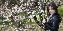 When flowering ornamental plum, the air is filled with wonderful flavor of love ... / ***