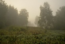 mist / *****