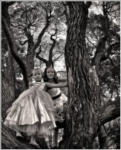 Cinderella and Alice in Wonderland! / ***