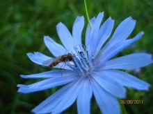 Soft landing / ***