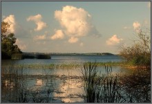 Marshy bay / ***