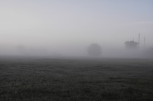 In the foggy veil / ***