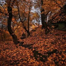 When autumn rustles under your feet / ***