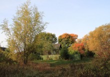 Autumn morning / ***