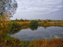 Autumn serenity / ***