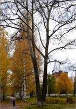 Autumn alley. / ***