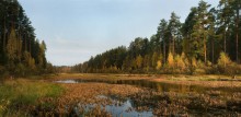 Autumn morning / ***