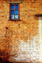 Window / ***